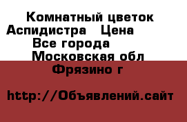 Комнатный цветок Аспидистра › Цена ­ 150 - Все города  »    . Московская обл.,Фрязино г.